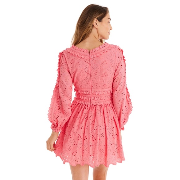 NWT Allison New York - Taylor Pink Eyelet Mini Dress Multiple Sizes Available - Picture 6 of 8